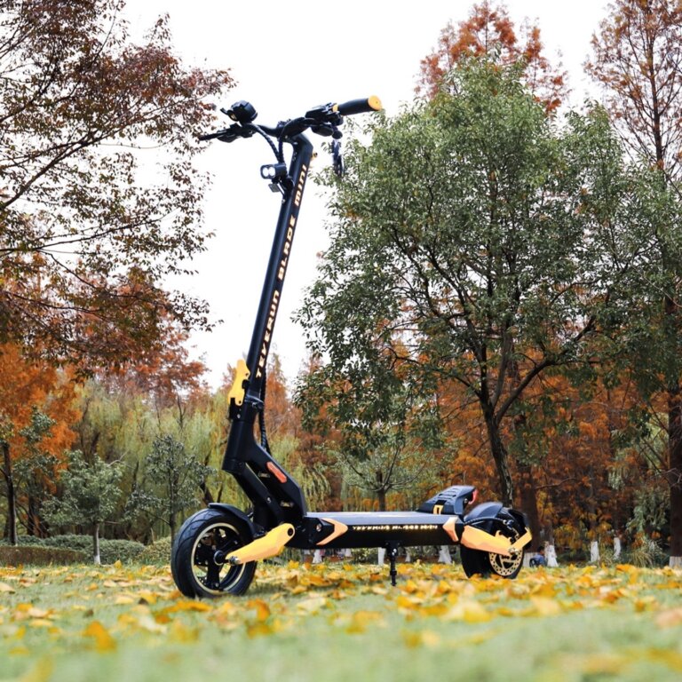 A Blade Mini Pro scooter parked in a park.